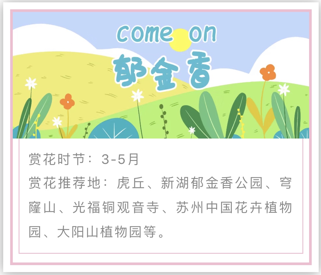 苏州赏花推荐景点有哪些,苏州赏花踏青攻略