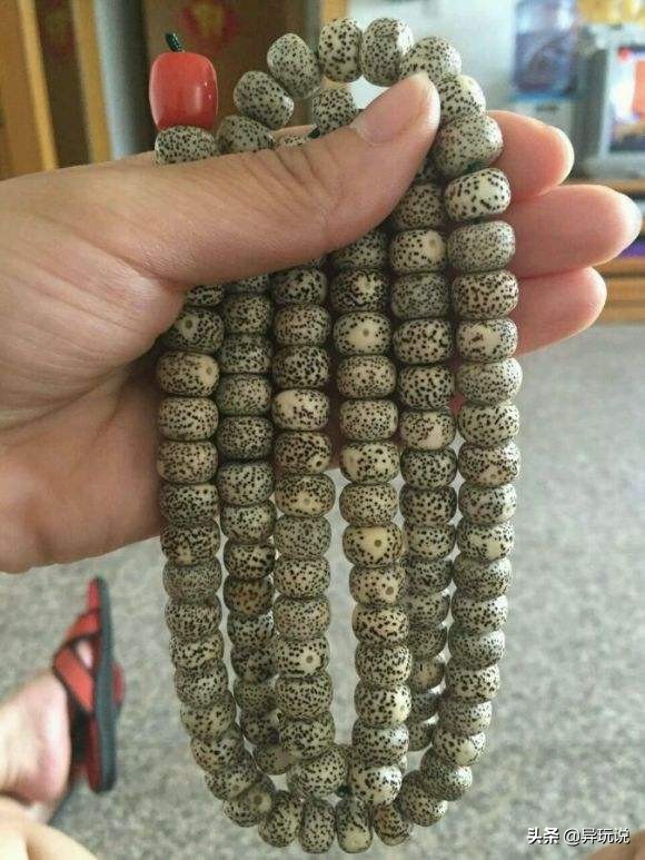 新手星月菩提适合买多大的,星月菩提4大禁忌