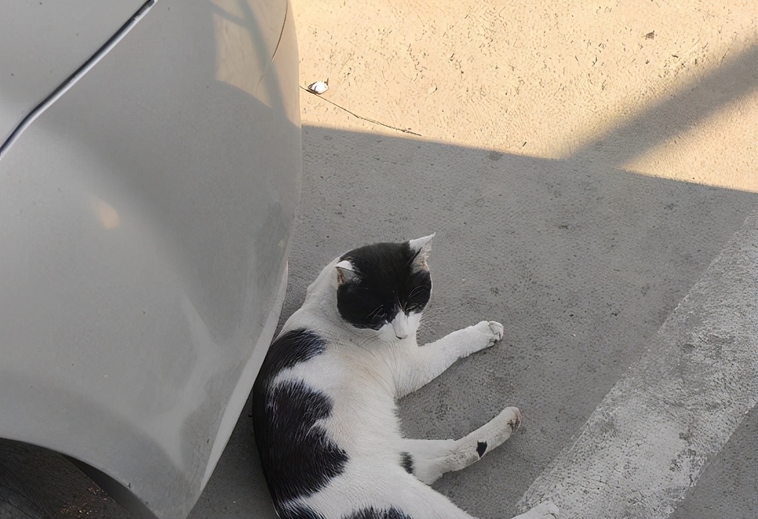 如何增加钙的吸收,老年人如何增加钙的吸收