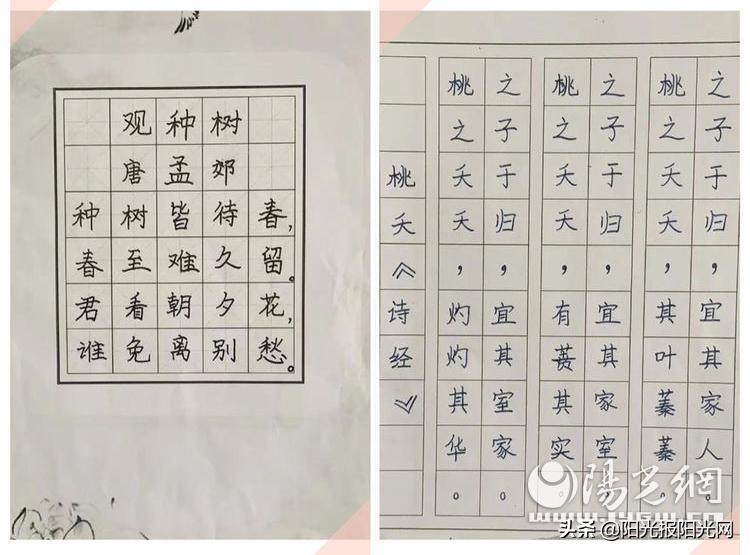 浐灞33小学,浐灞第33小学三年级五班