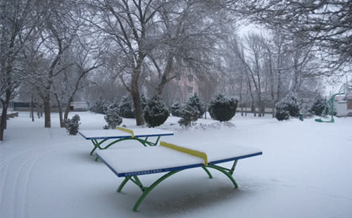 冬天的校园作文300字,描写冬天的校园短文100字