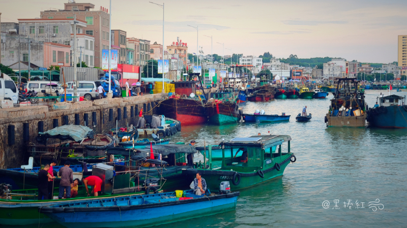 广东湛江旅游攻略美食,湛江旅游海鲜推荐一下