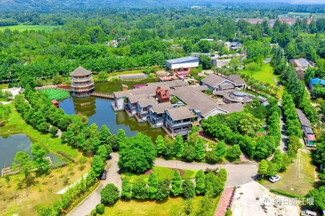 璇诲煄2019,鎴愰兘璇诲煄