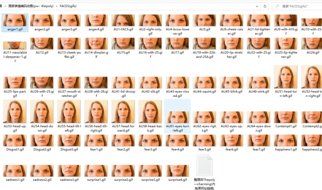 facs的全称是什么,facs面部编码系统