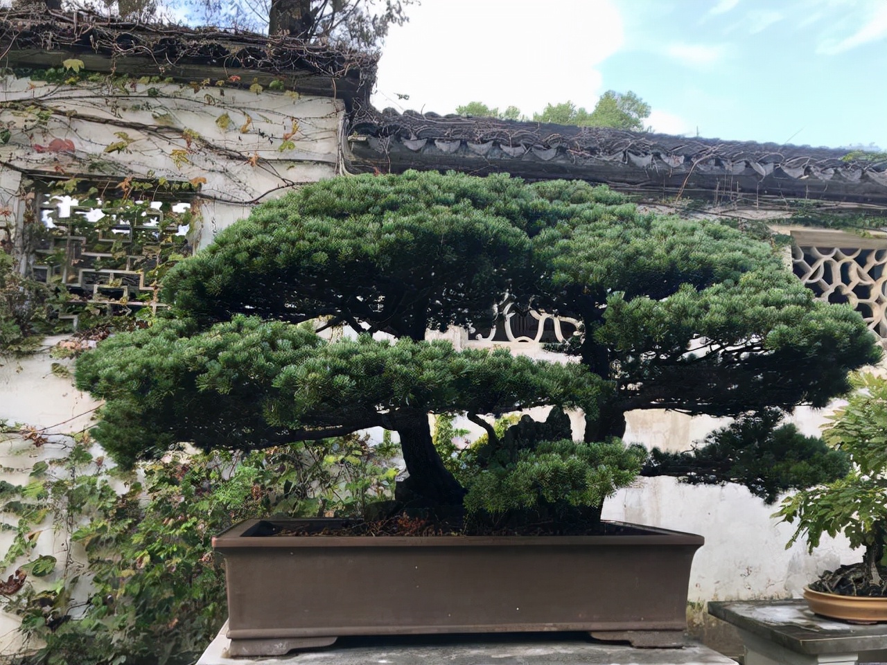 苏州最值得去的十个景点,苏州值得去的好玩的地方