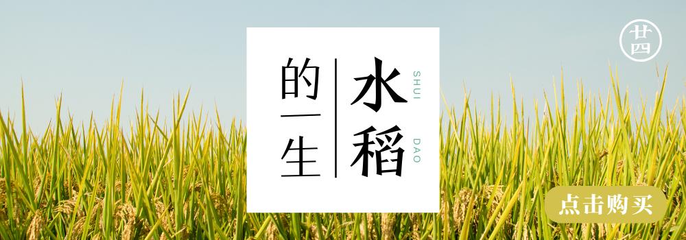 儿童洗衣液测评真实推荐,娃娃洗衣液