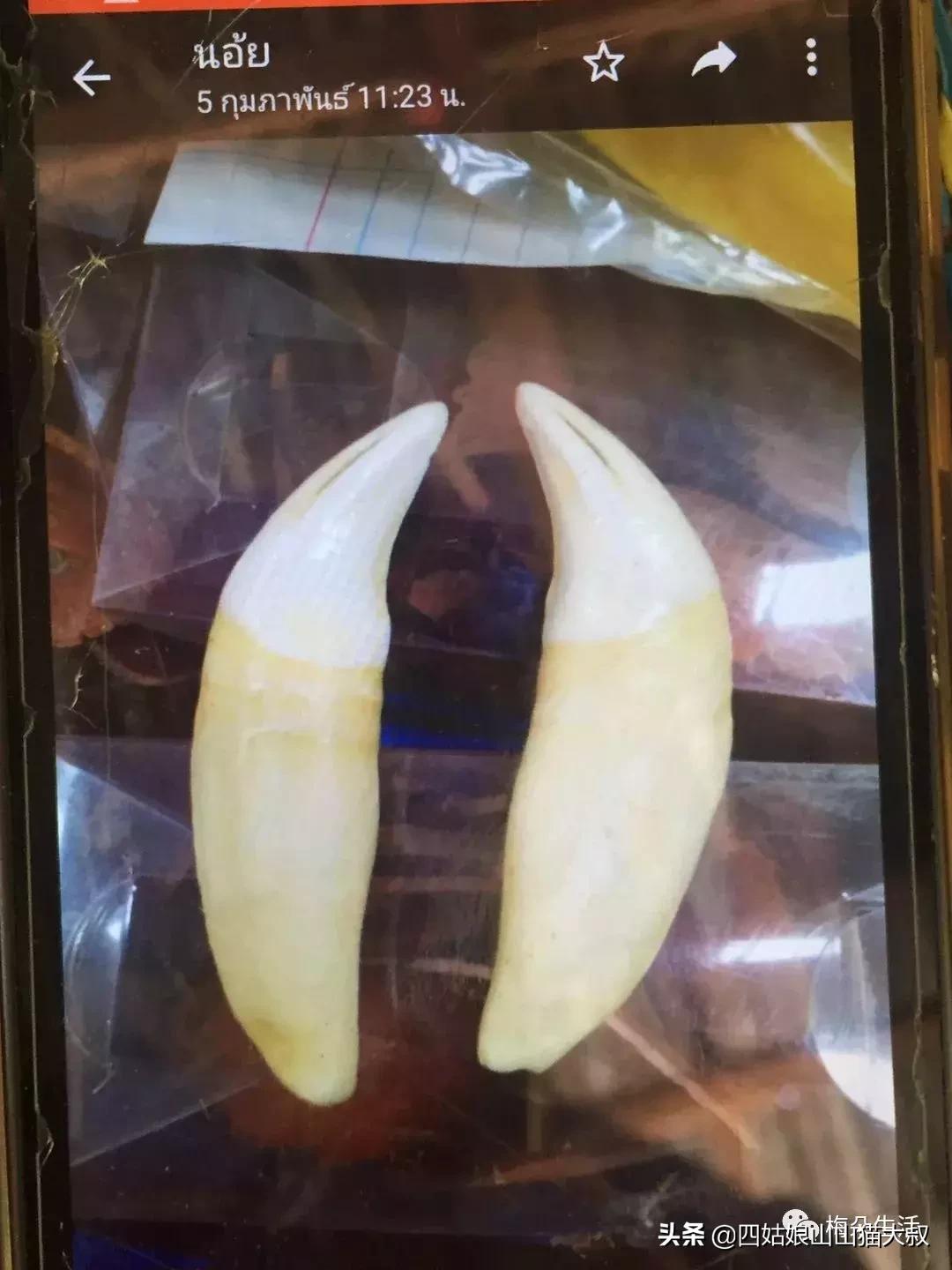 老挝游记,一个人去老挝的游记