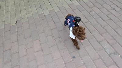 大疆OSMOACTION评测:性价比出众的Vlog新宠,对标GoPro毫不遮掩