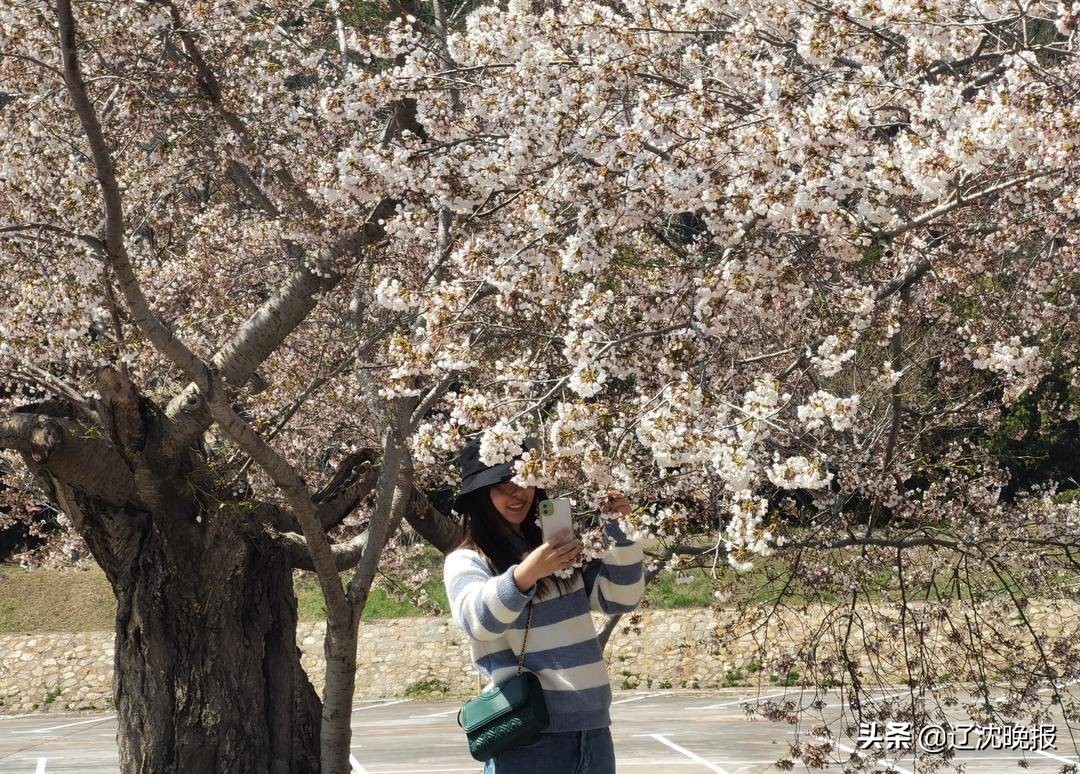 辽宁十大赏花景点,五一观花辽宁新去处