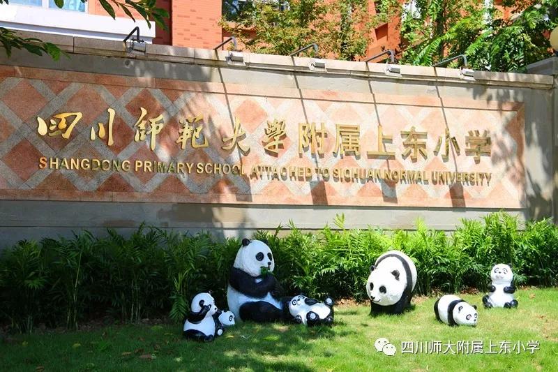 成都私立小学学校招生,2020年成都私立小学招生