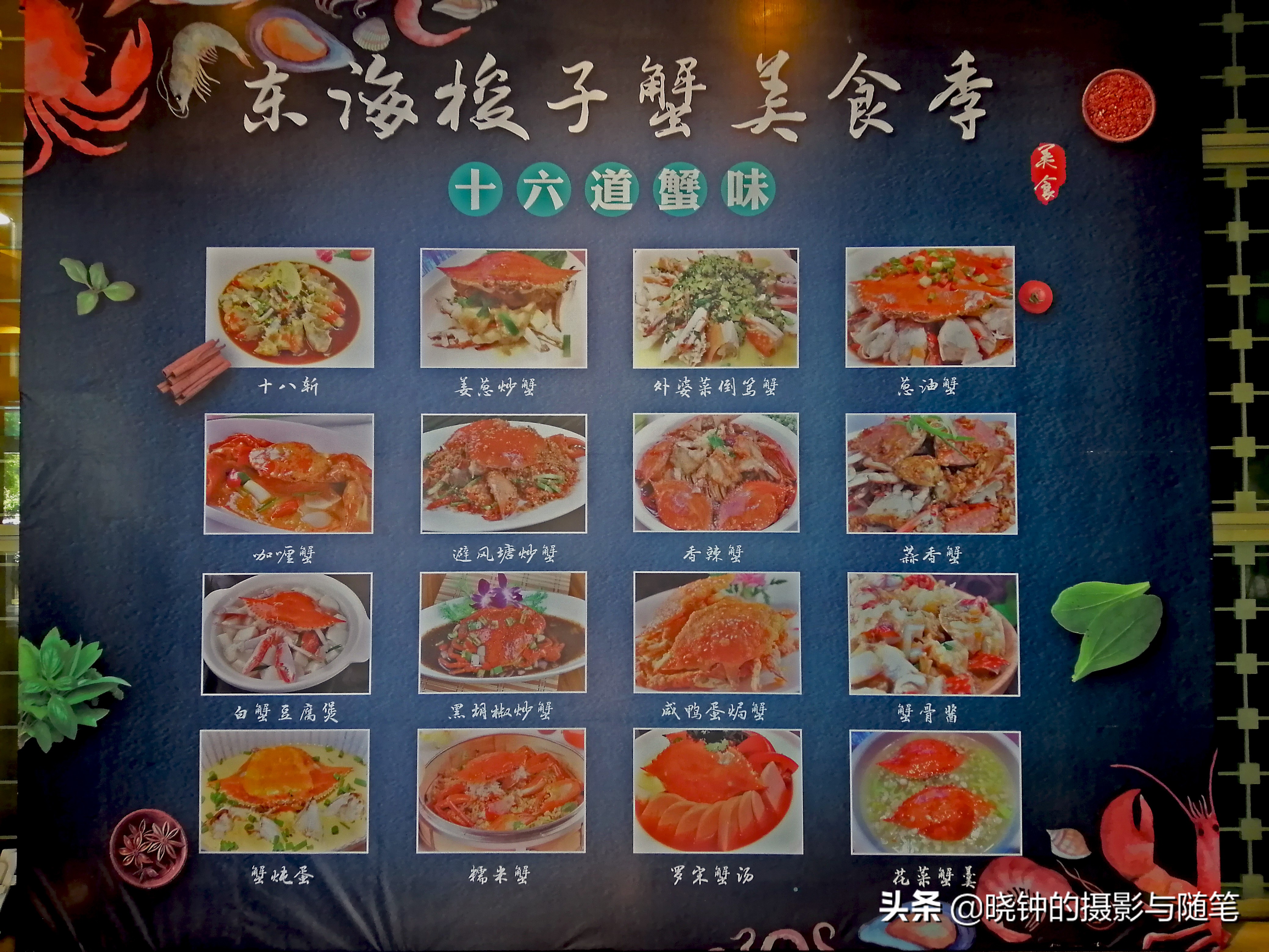 舟山海岛慢生活,生活在浙江舟山的真实感受