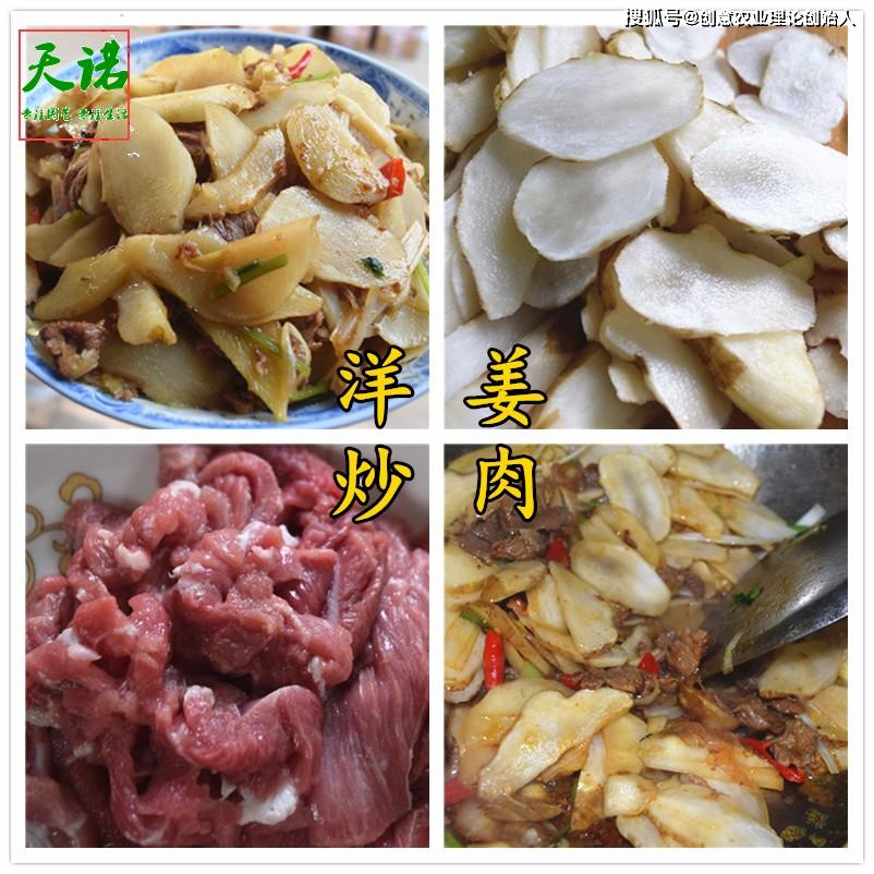 盆栽洋姜的方法,家庭种洋姜的正确方法