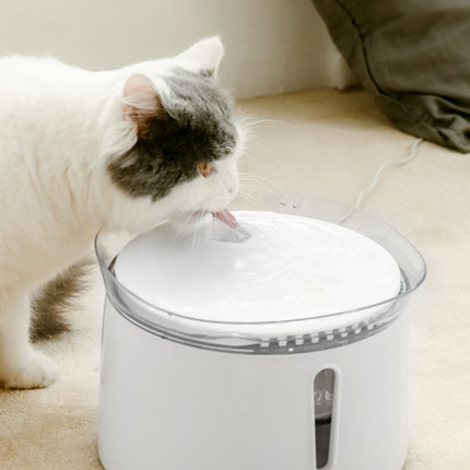 瀹犵墿鍠傞绁炲櫒娴嬭瘎瀵规瘮,鎺ㄨ崘鑷濂界敤瀹犵墿蹇呭浜у搧