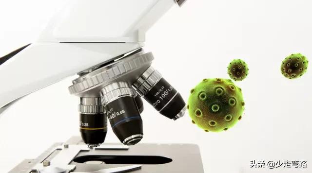 真菌感染是怎么引起的多可怕,真菌感染为什么会引起脉管炎