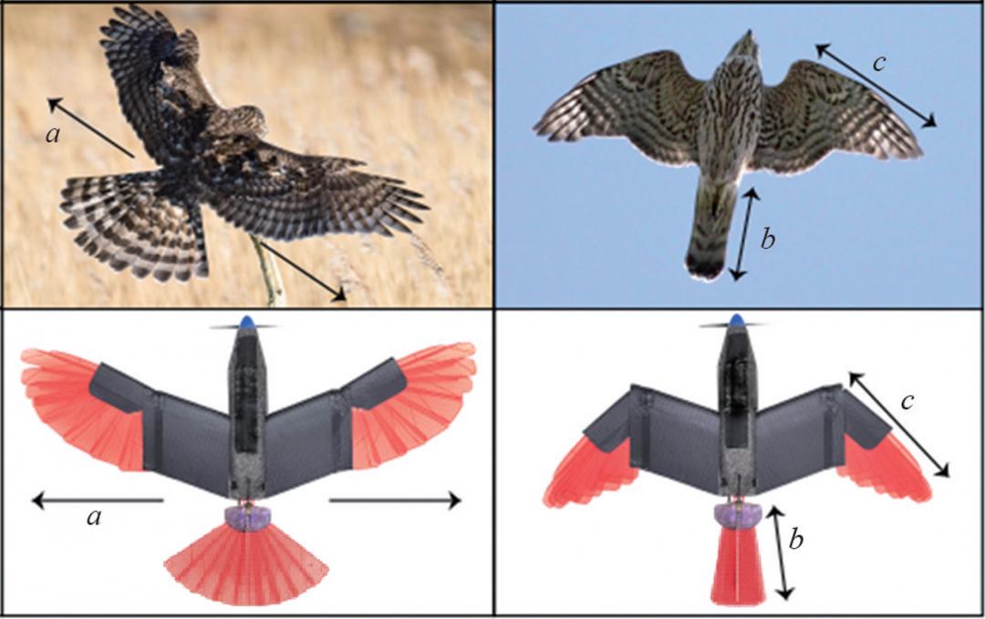 无人机今年的形势,无人机行业发展
