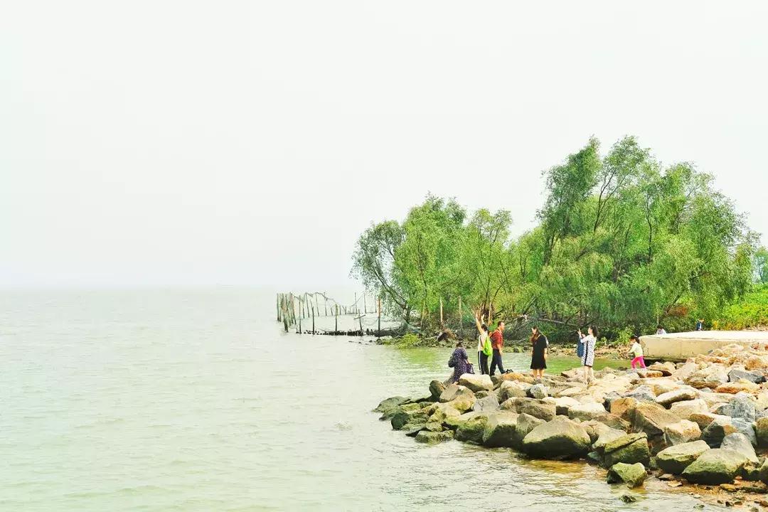 这里是前海完整视频,这里是北京粤语