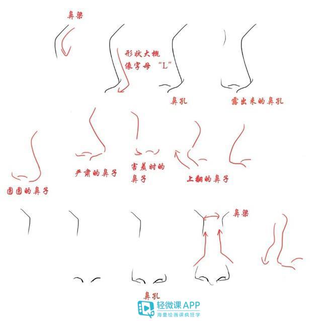 鼻子怎么画显人中短,如何画鼻子各个角度
