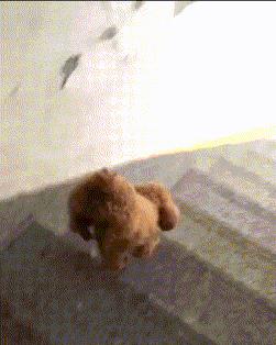 搞笑gif开心,搞笑gif开心视频