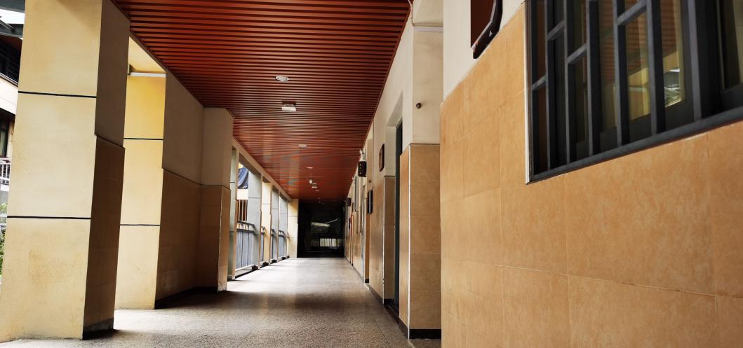 2022福州格致中学高考平均分,福州格致中学本一率