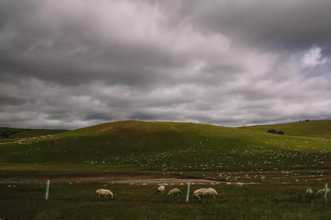 途达探索之旅,途达探索之旅完整版