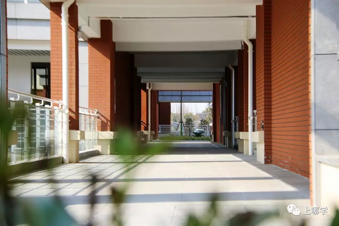 上海最好的十大民办初中,上海各区的顶级初中和一流初中