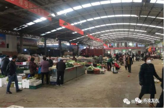 杨凌即将开工的工作,杨凌复工的最新通告