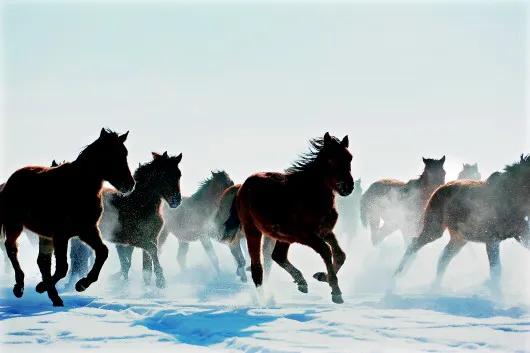 汉武帝被赐名叫什么,汉武帝赐名闻喜