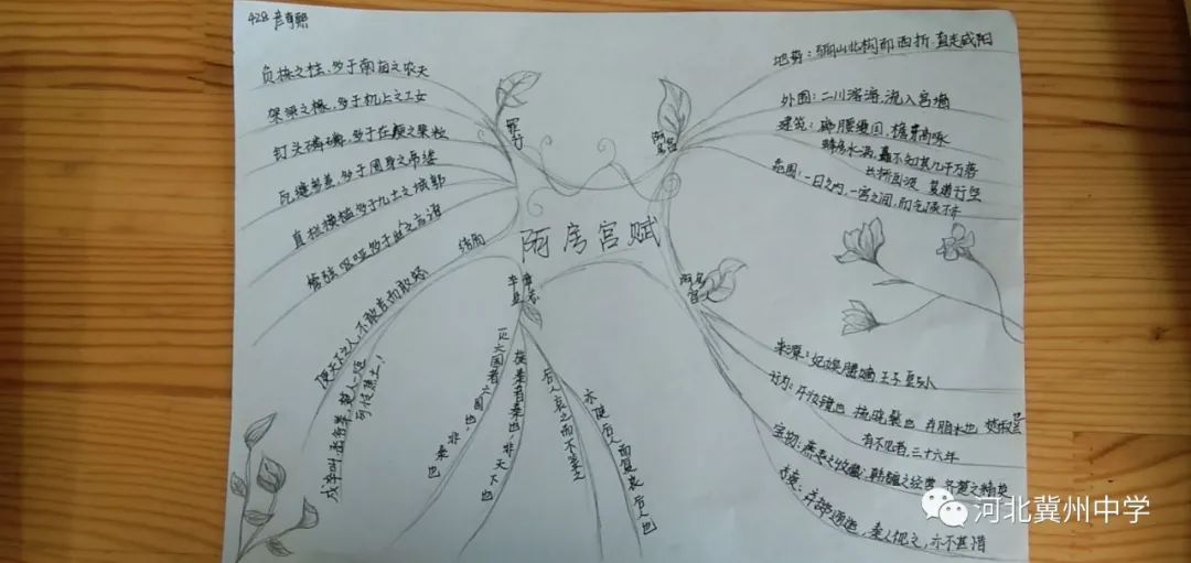 语文导图思维导图,一分钟搞定语文思维导图