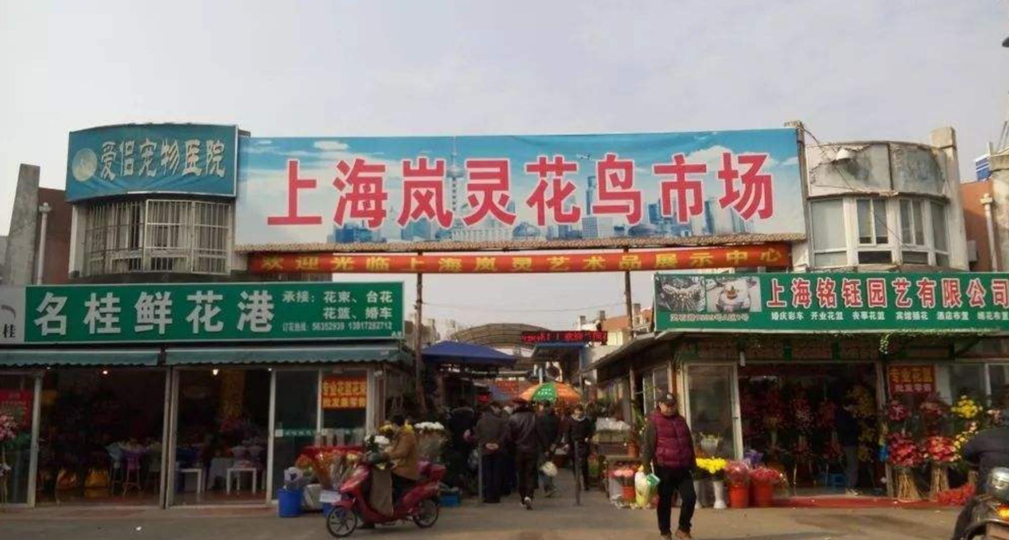 广州有哪些虫鸟批发市场,花鸟鱼虫批发市场哪里最便宜