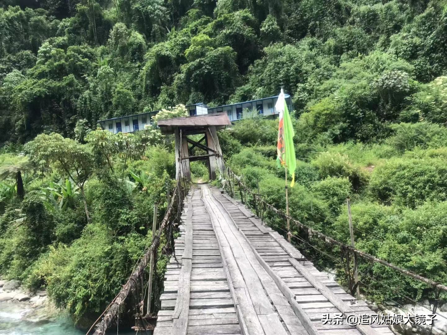 穿越到原始森林里面,穿越原始森林来种田