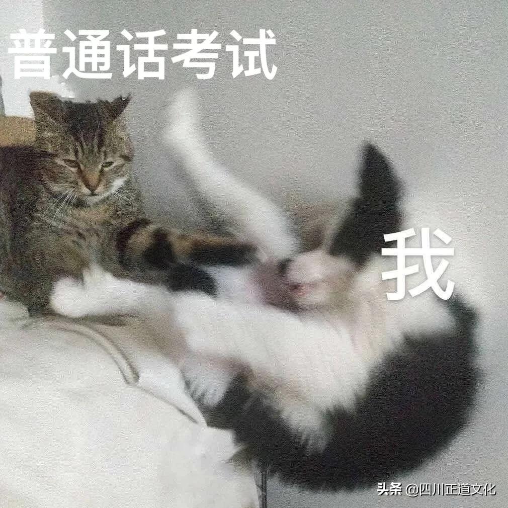 四川人说普通话为什么那么搞笑,当四川人说普通话有多不普通