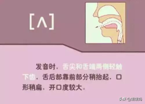 音标教学视频48个快速记忆法,英语48个音标发音教程视频