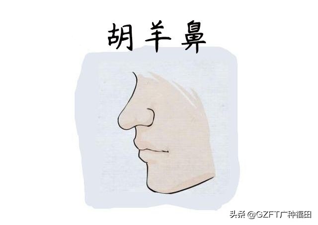 面相有富贵命的人,面相上哪些鼻子好