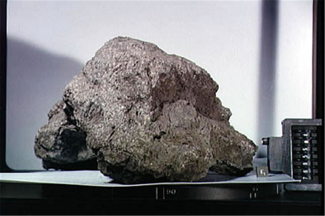 美国给的1克月岩是赠送的吗,荷兰国立博物馆获赠月岩