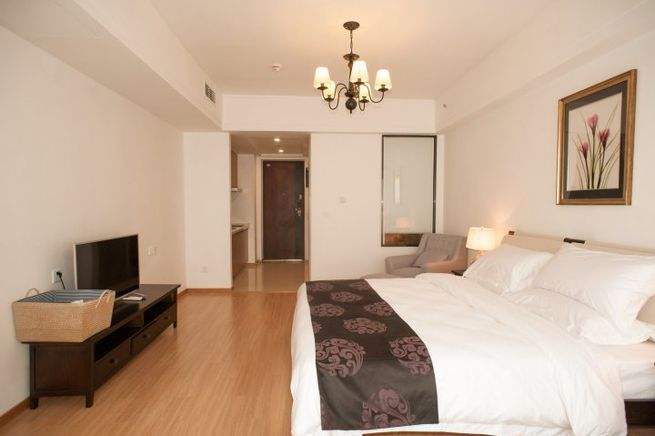 100平方酒店式公寓能买吗,买酒店式公寓自住