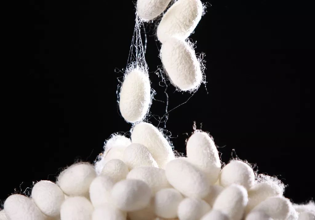 桑蚕丝被100多块靠谱,大牌桑蚕丝被推荐