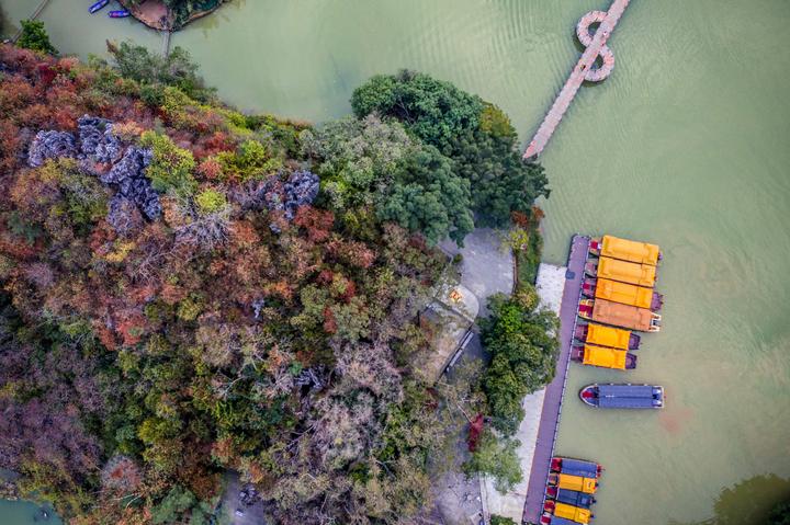 星湖冬日燃情，比落羽杉还要红的是什么？#我和湿地有个约会#