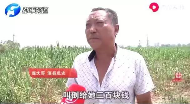 农民西瓜被偷反倒赔300元,瓜农西瓜被偷怎么赔偿