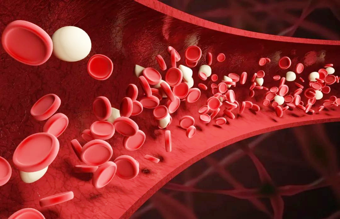 青筋暴起的青筋指的是什么,青筋暴起和没有青筋哪个健康