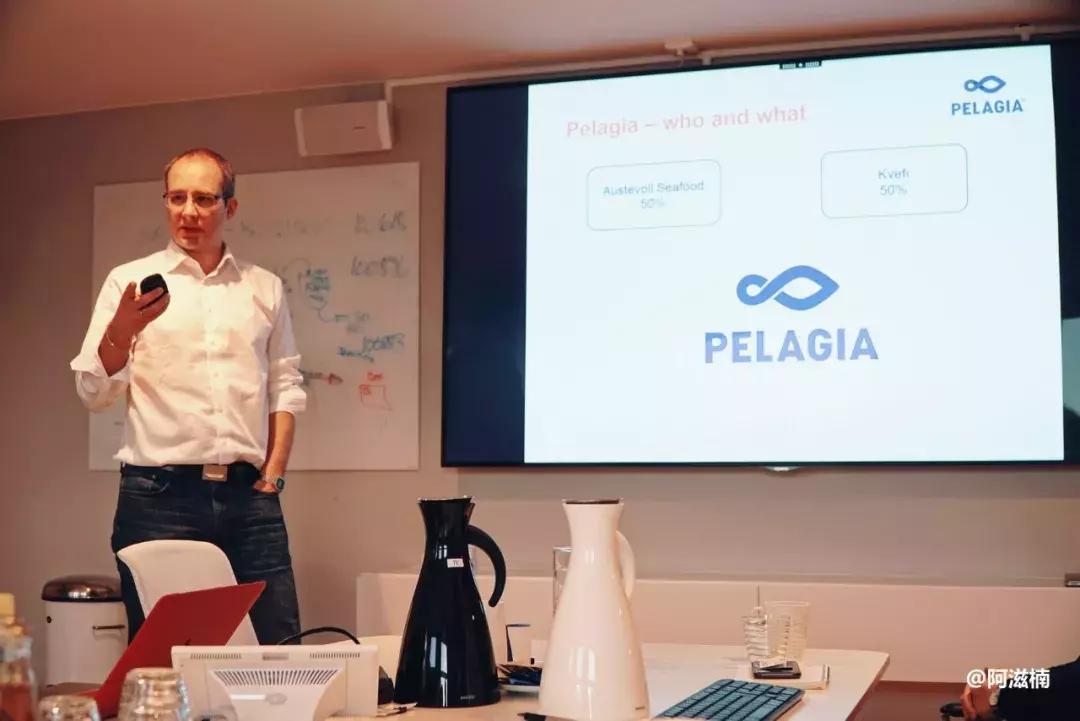 为了吃世界上最好吃的青花鱼，我飞去了挪威，光是捕捞船价值4亿