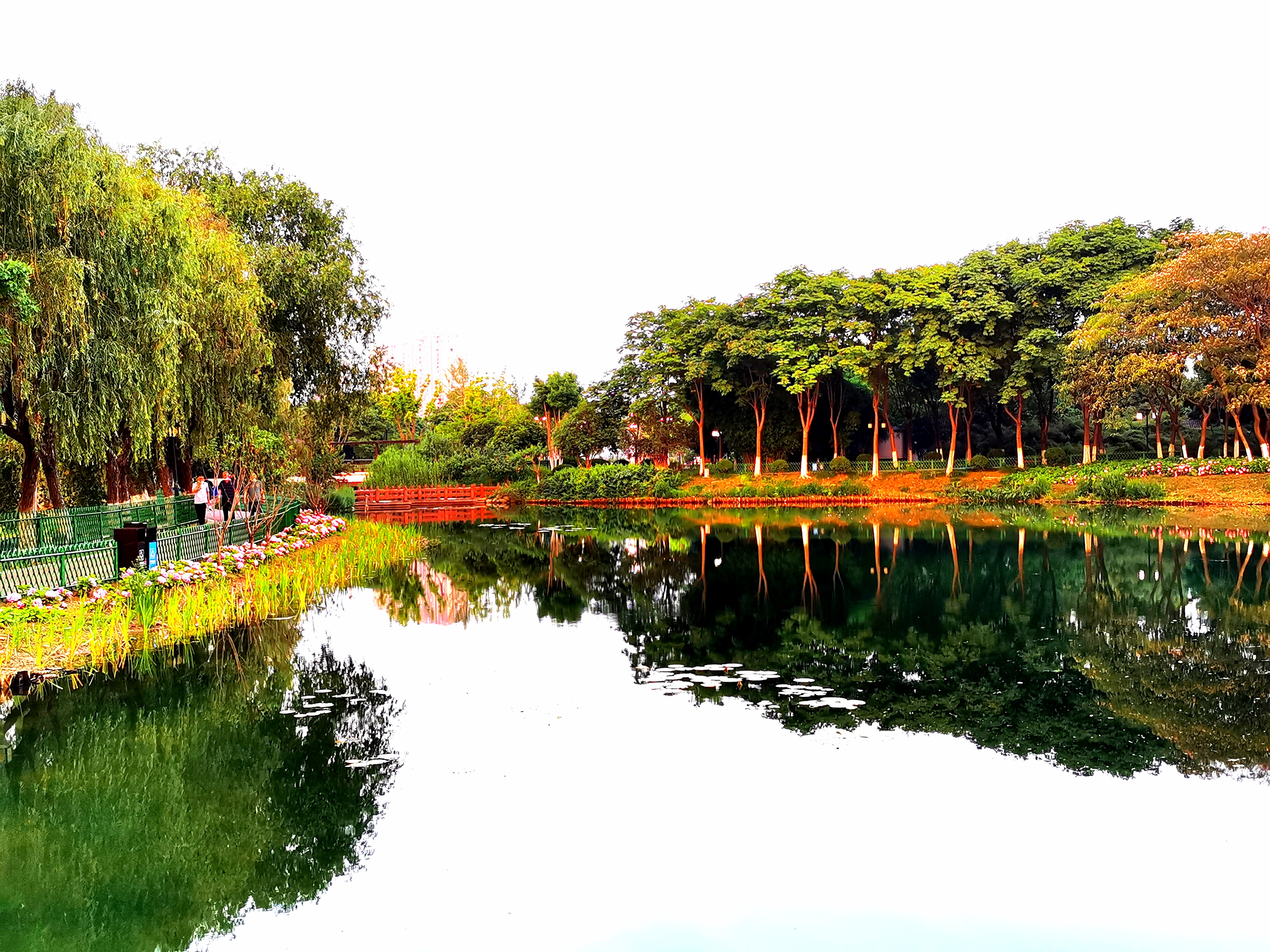 沉睡的历史与惊艳的现实——走读东西湖