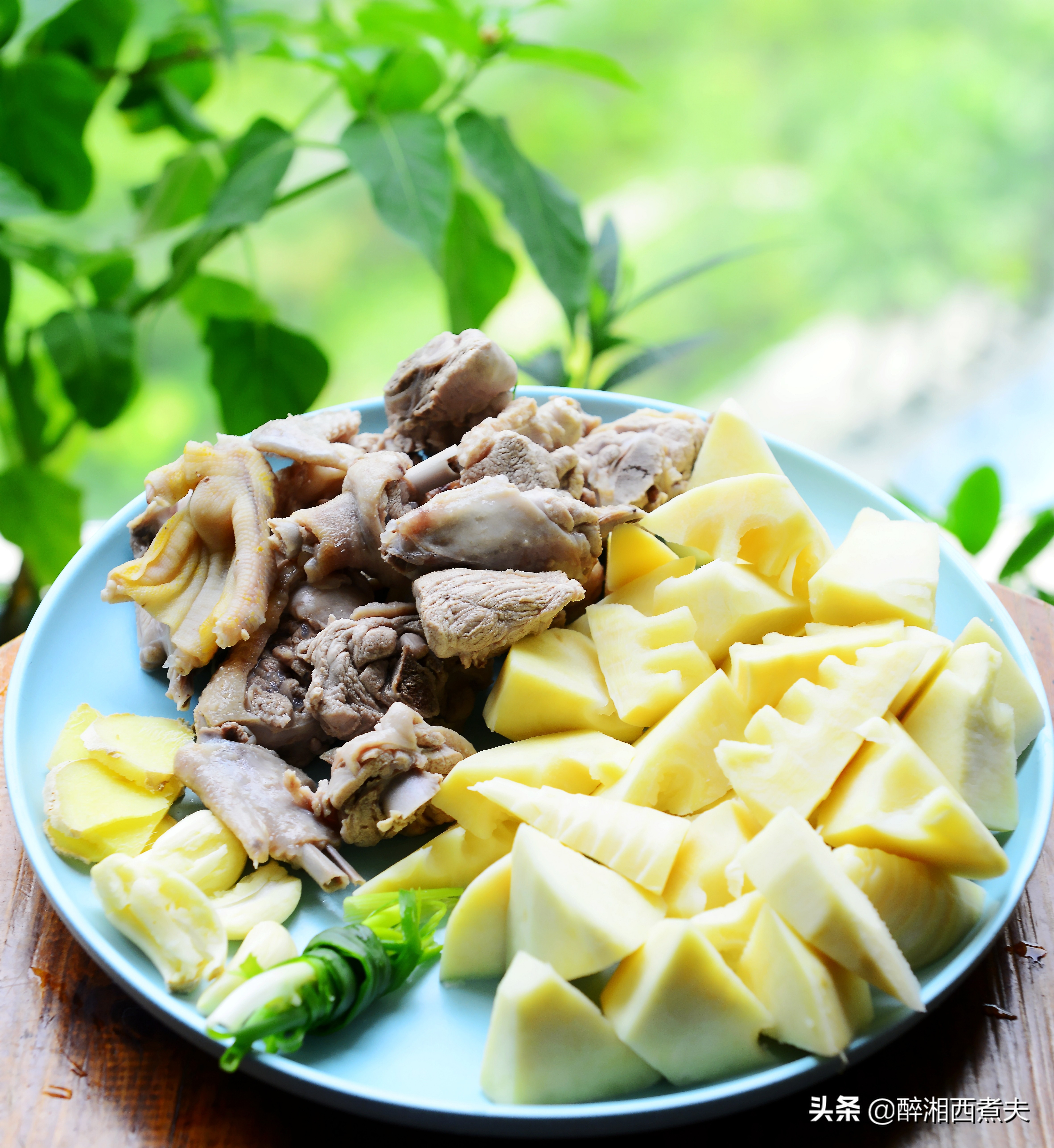 最好的南方竹笋,野生竹笋最好吃的季节