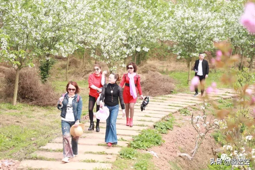 带你来樱花园看浪漫樱花,最美校园春天必打卡的樱花胜地