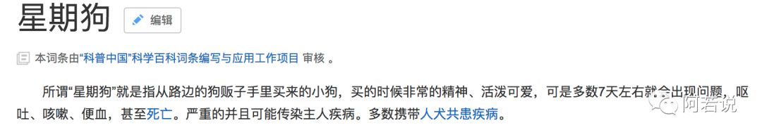 揭秘非法贩猫产业链,揭秘行业秘密