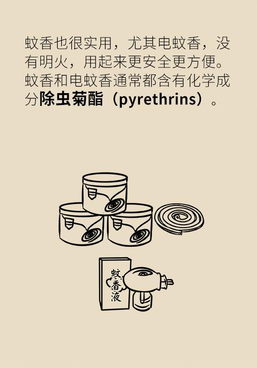 被蚊子吵得睡不着觉怎么发朋友圈,大晚上蚊子吵得睡不着怎么办
