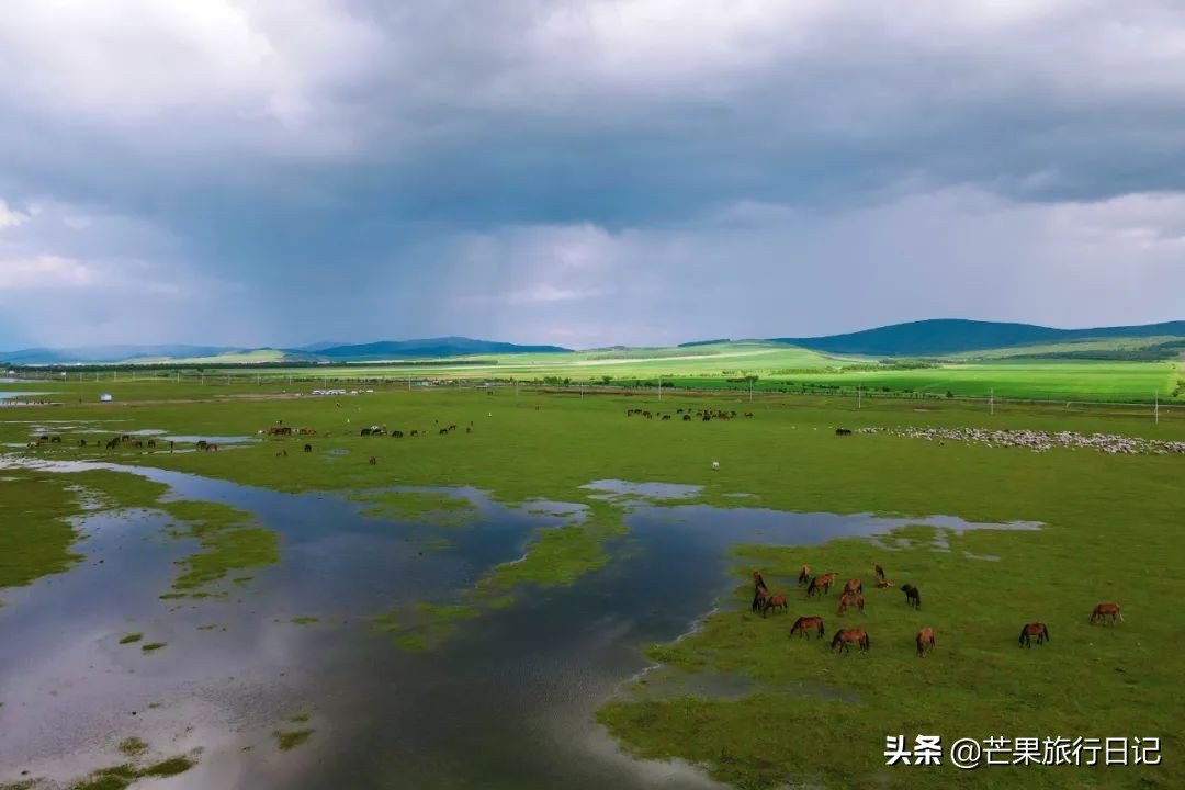 自由行呼伦贝尔七天费用,呼伦贝尔自由行费用