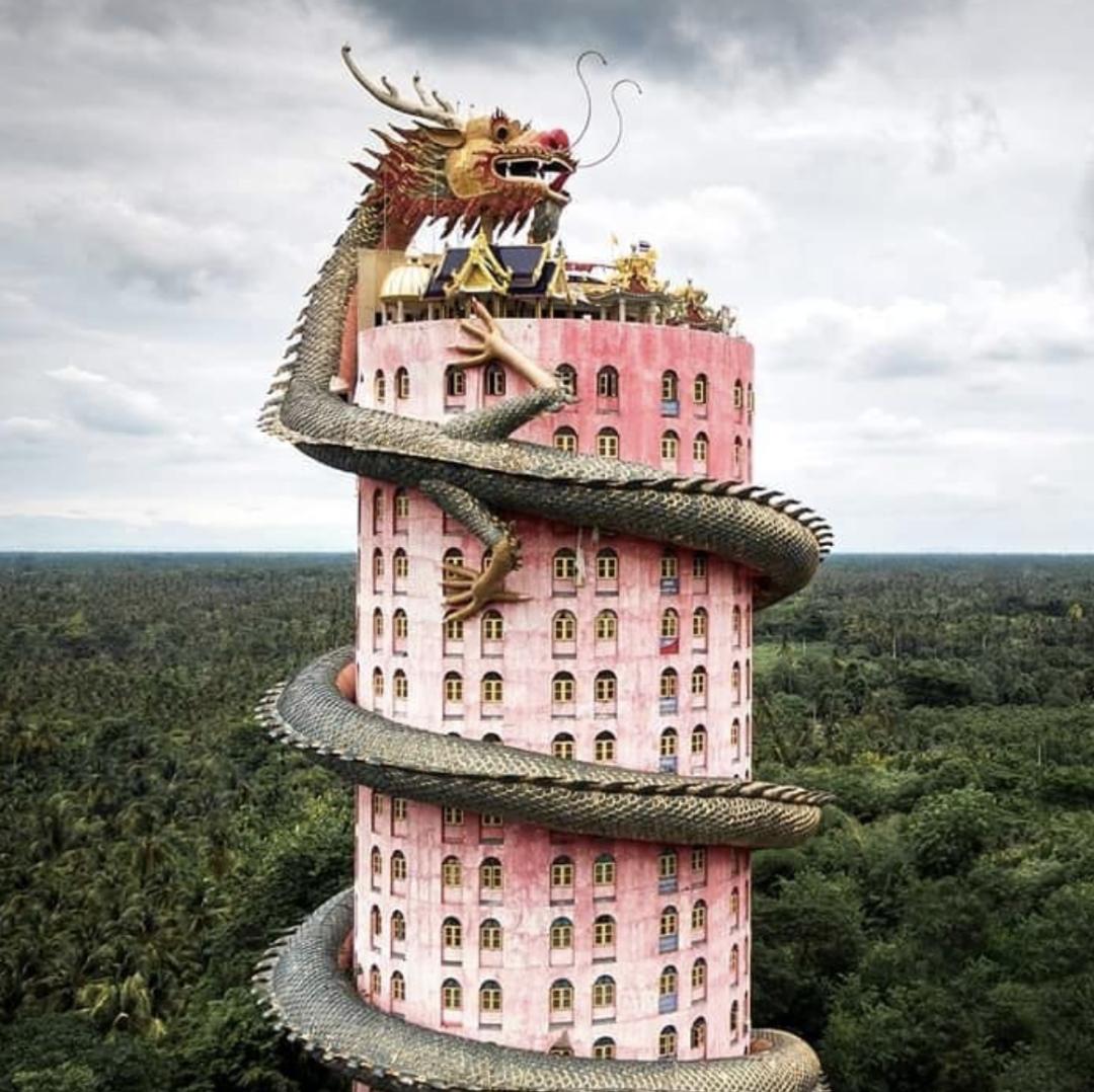 看了就想养的宠物,看了就想养宠物的视频