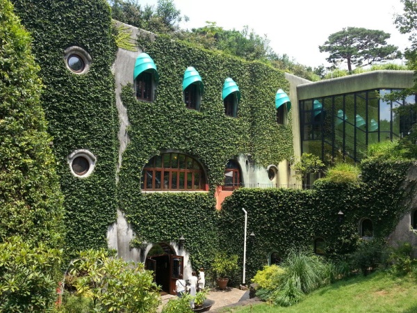 日本东京单人自由行攻略,如何计划日本旅游