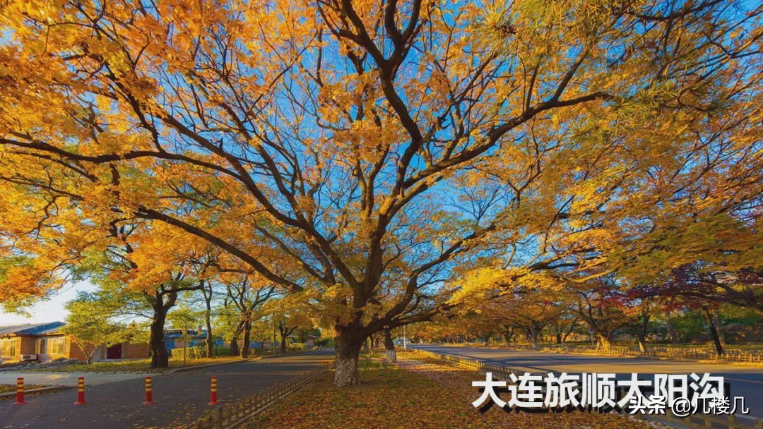 大连人社官网,大连是一个怎么样的城市