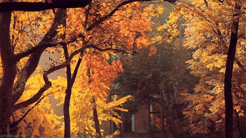 国内小众拍照胜地排名,文艺气息满溢的拍照圣地